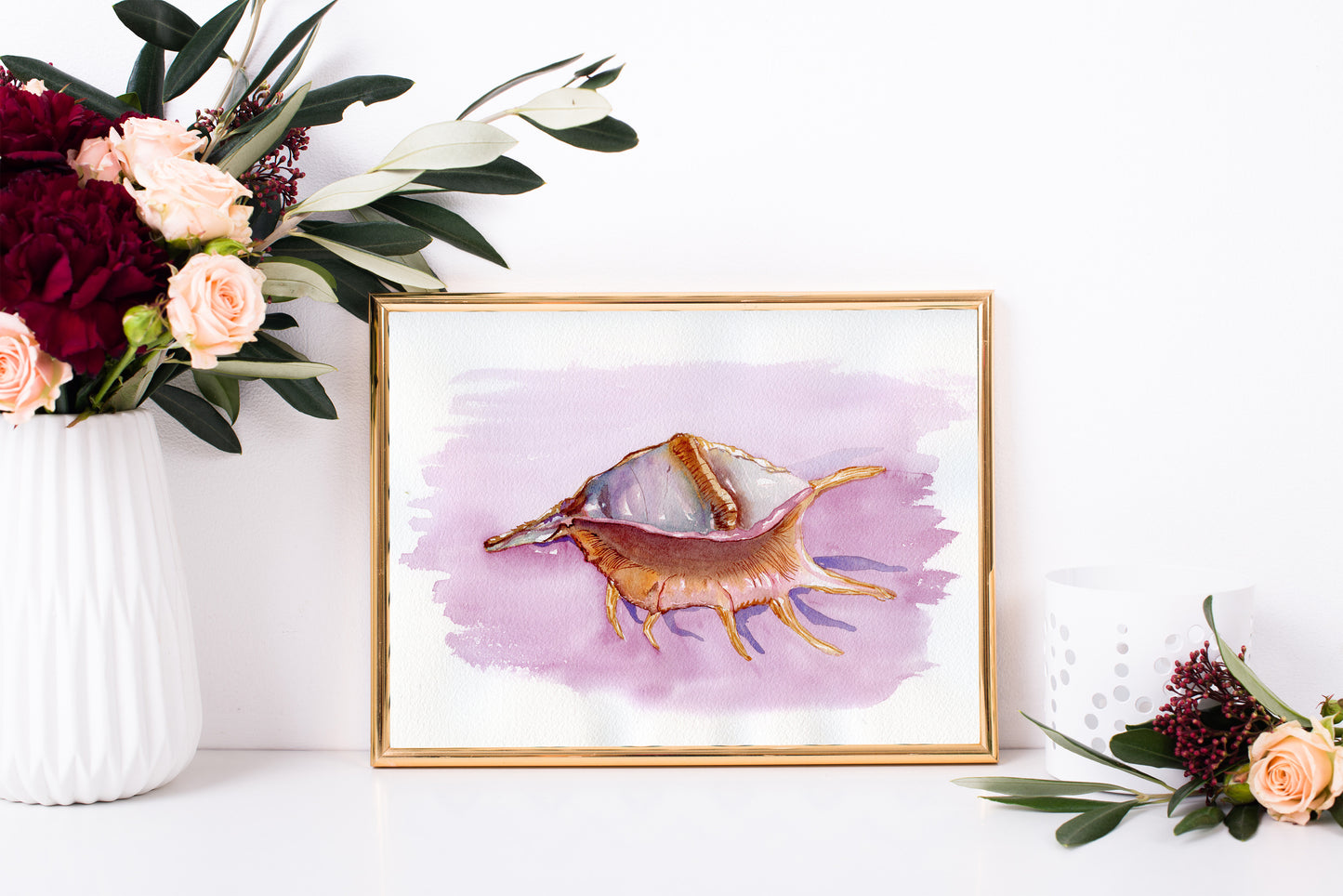 Conch Shell Watercolor Print - Spider Conch
