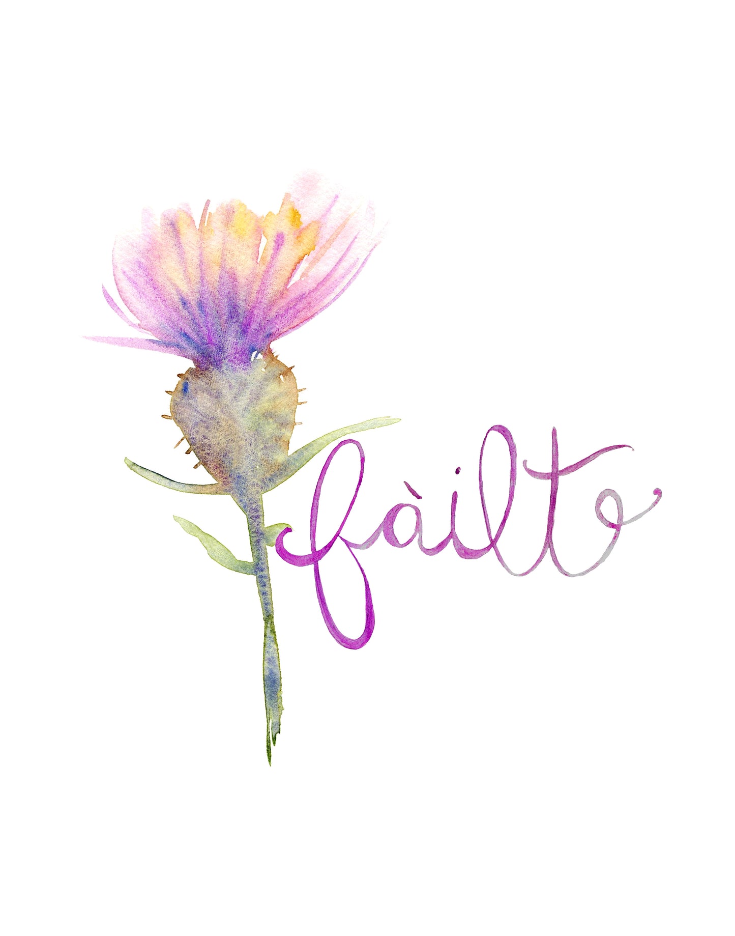 Scottish Thistle Art