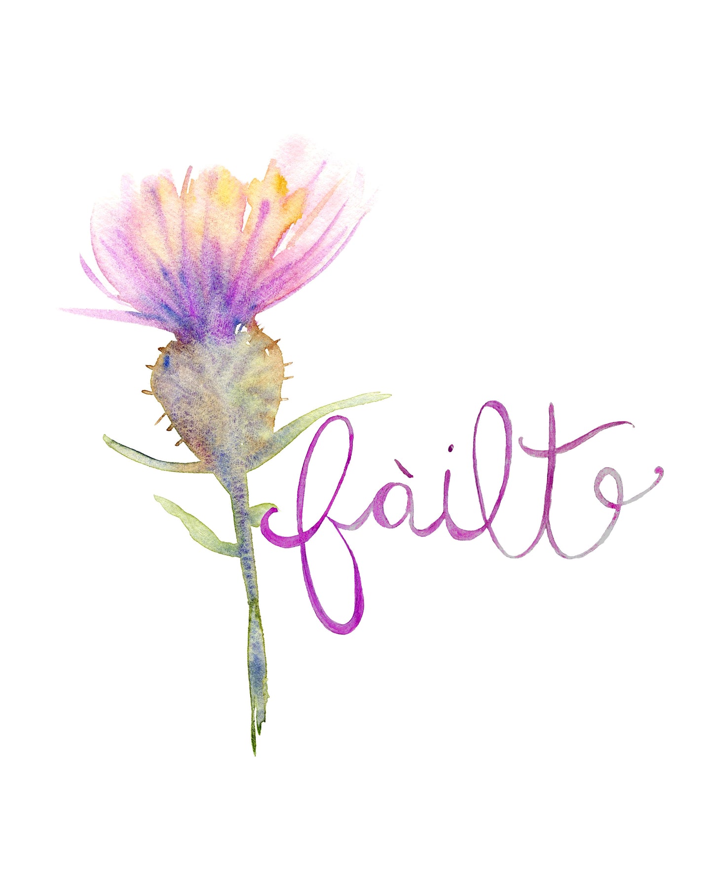 Scottish Thistle Wall Art Print