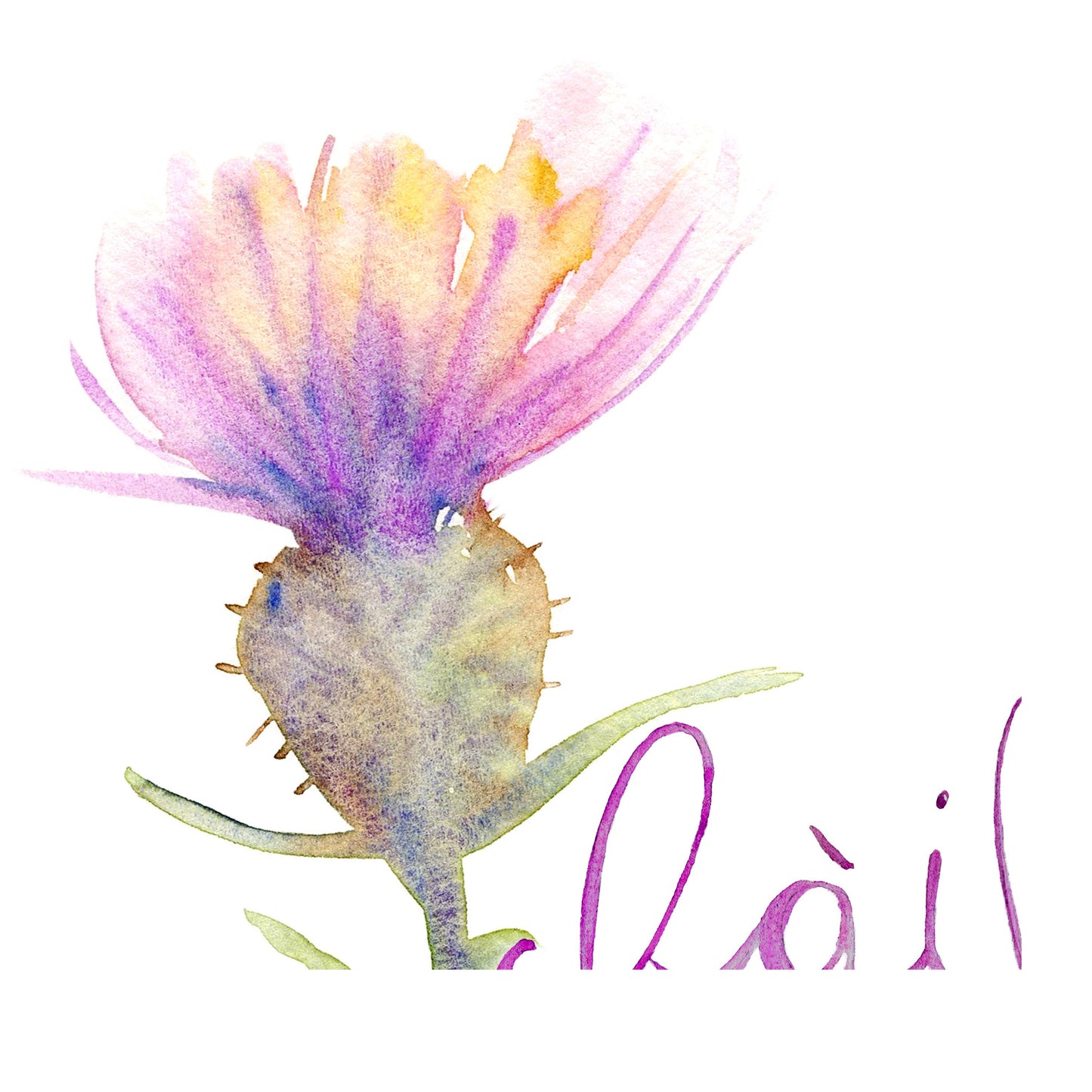 Scottish Thistle Wall Art Print