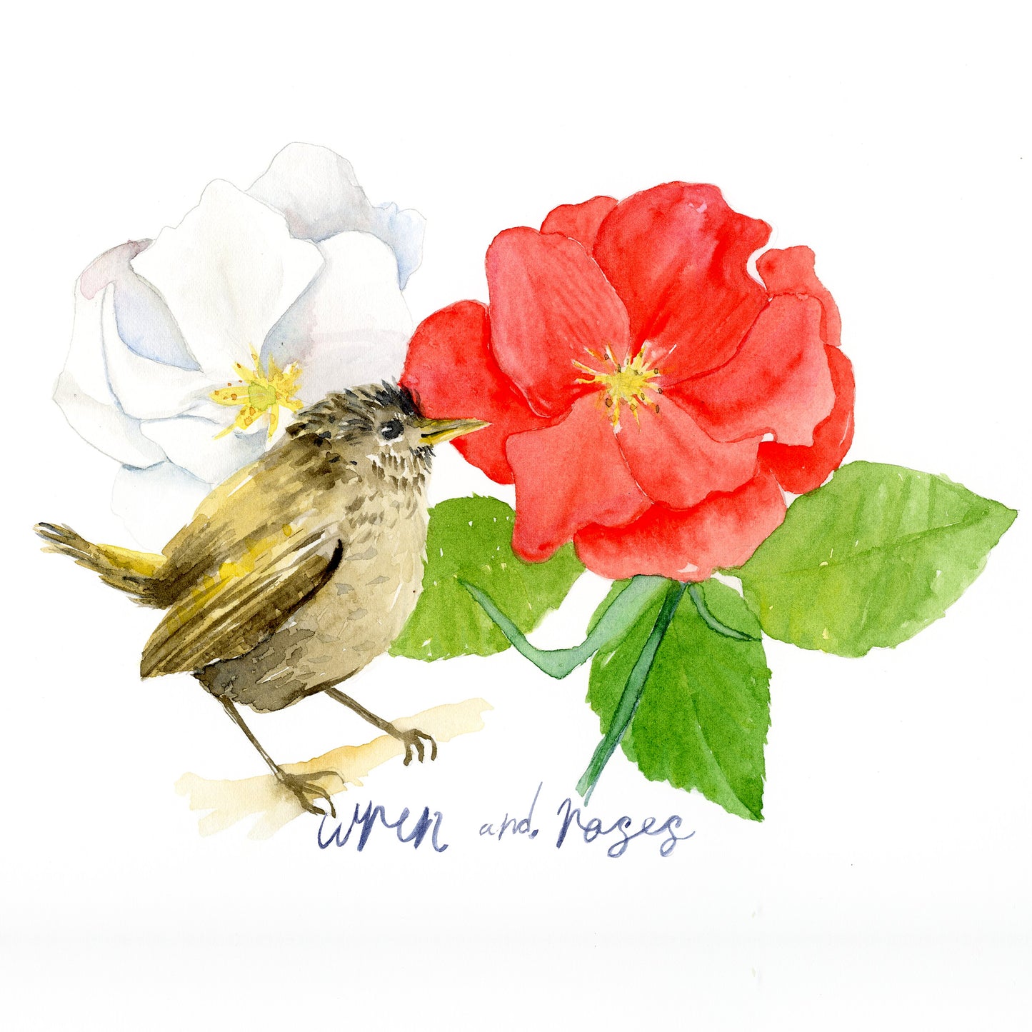 English Wren Wall Art