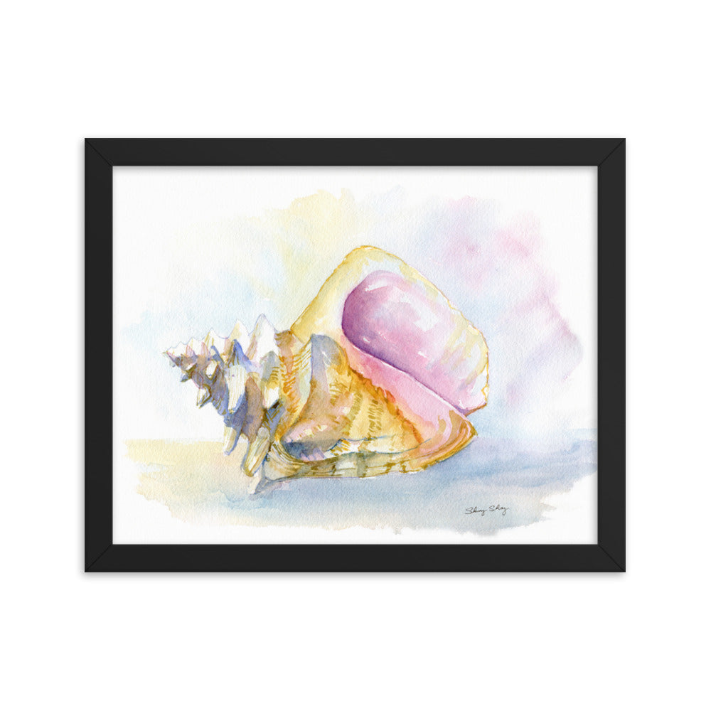 Conch Shell Framed Watercolor Print - Queen Conch