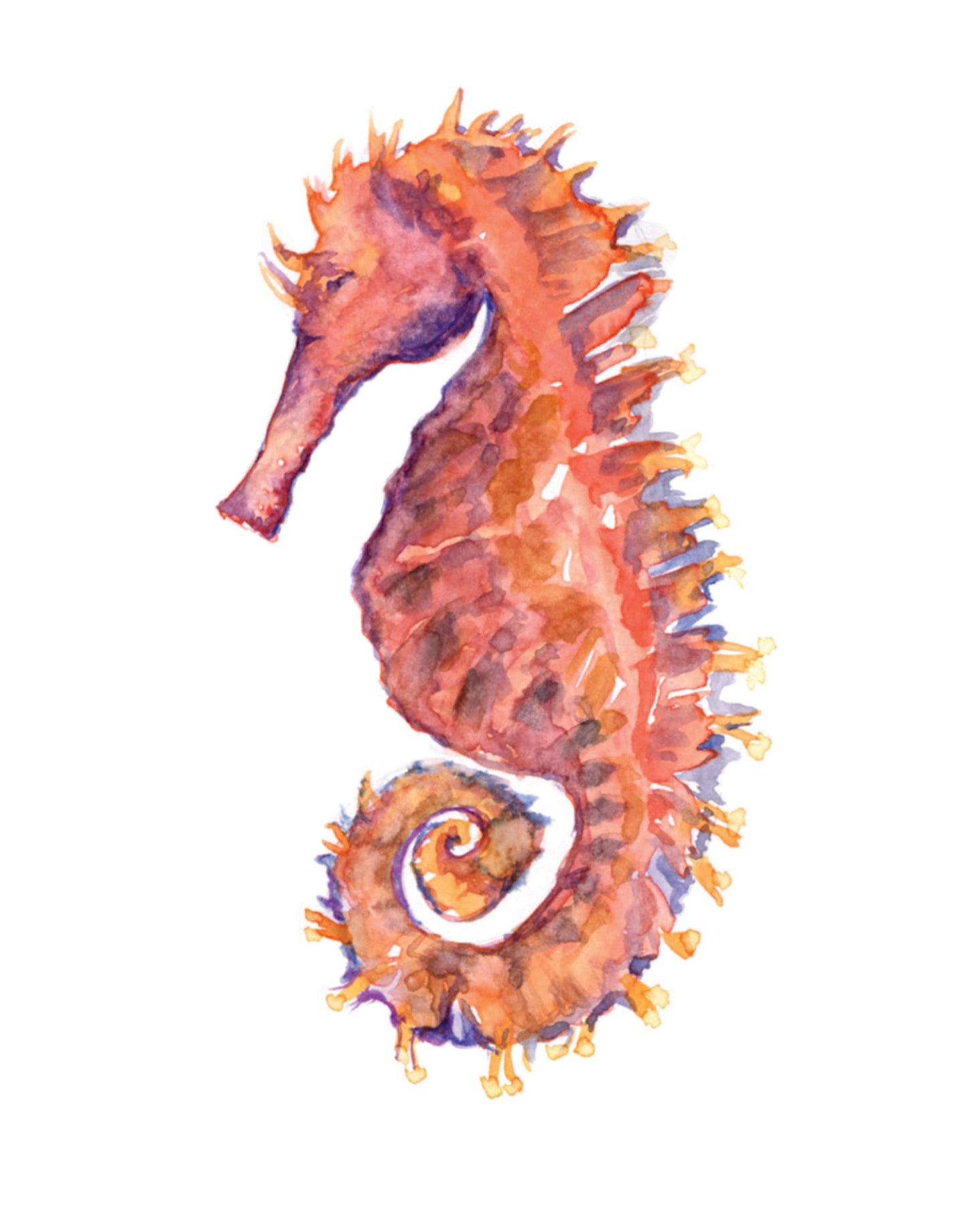 Coral Seahorse 16x16 Pillow - Flamingo Shores - Original Art for Home Decor and Gifts