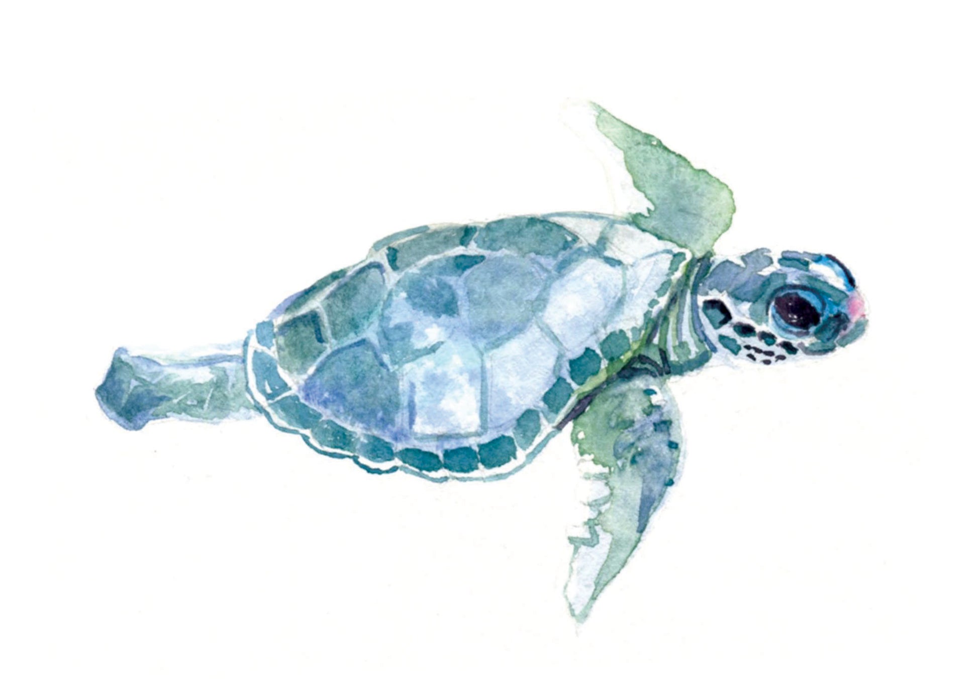 Baby Sea Turtle - Flamingo Shores - Original Art for Home Decor and Gifts
