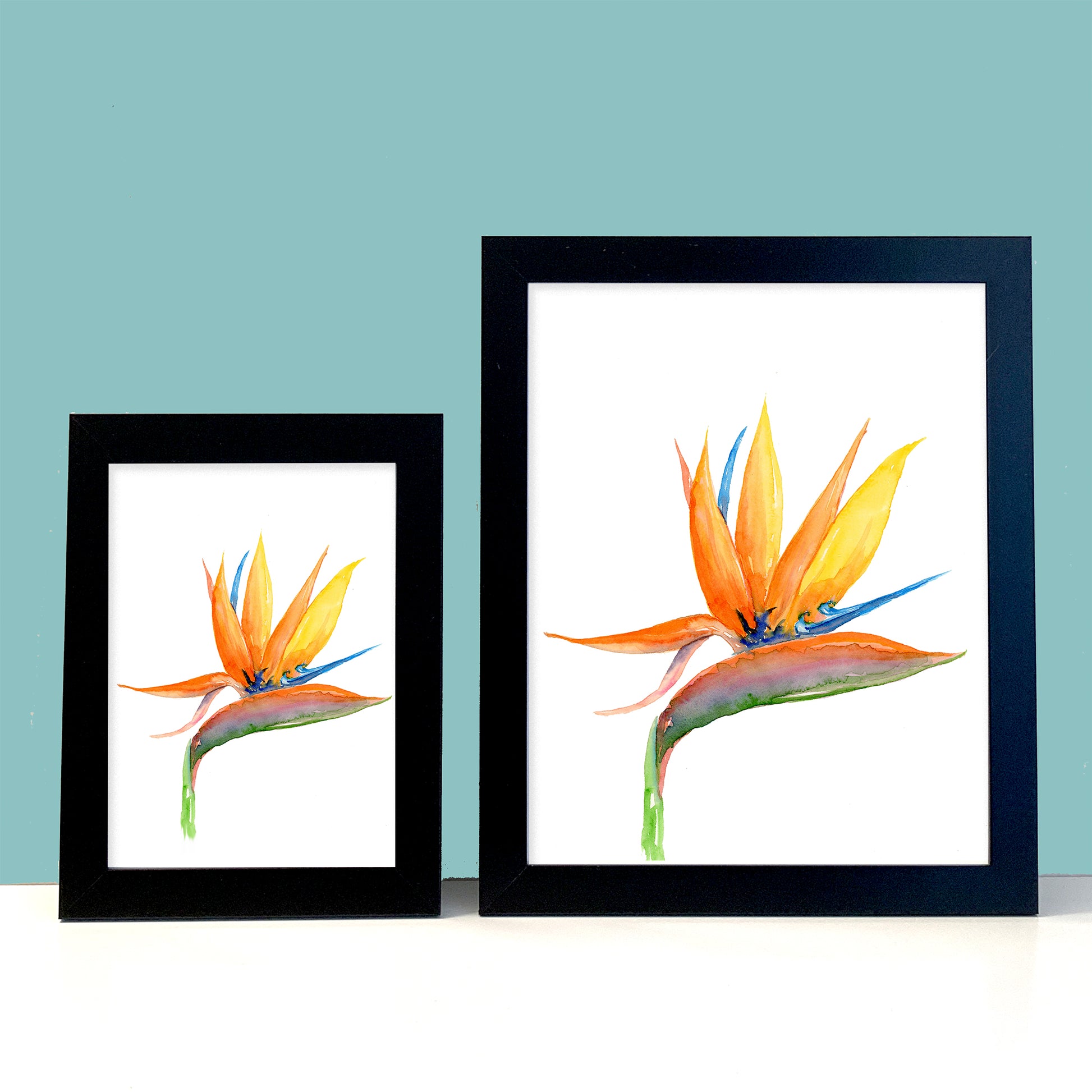 Tropical Flower Bird of Paradise Watercolor Wall Art. Home Decor. Nature Art. Bird Lover Gift. - Flamingo Shores - Original Art for Home Decor and Gifts