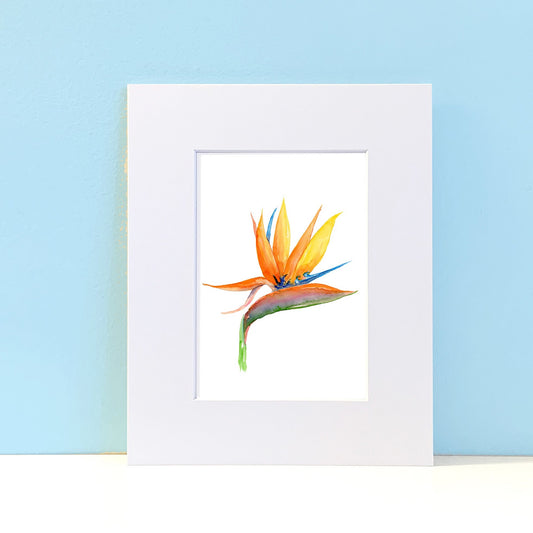 Tropical Flower Bird of Paradise Watercolor Wall Art. Home Decor. Nature Art. Bird Lover Gift. - Flamingo Shores - Original Art for Home Decor and Gifts