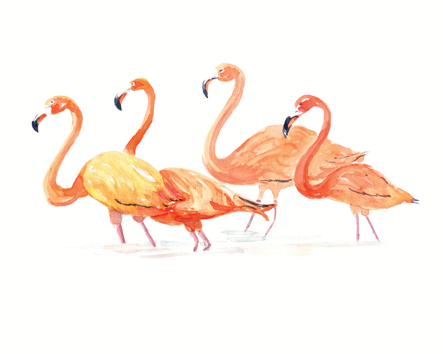 Flamingos Watercolor Print Art - Flamingo Shores - Original Art for Home Decor and Gifts