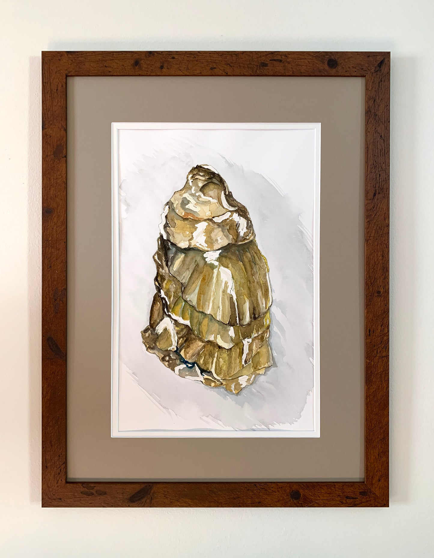 Watercolor Oyster Painting