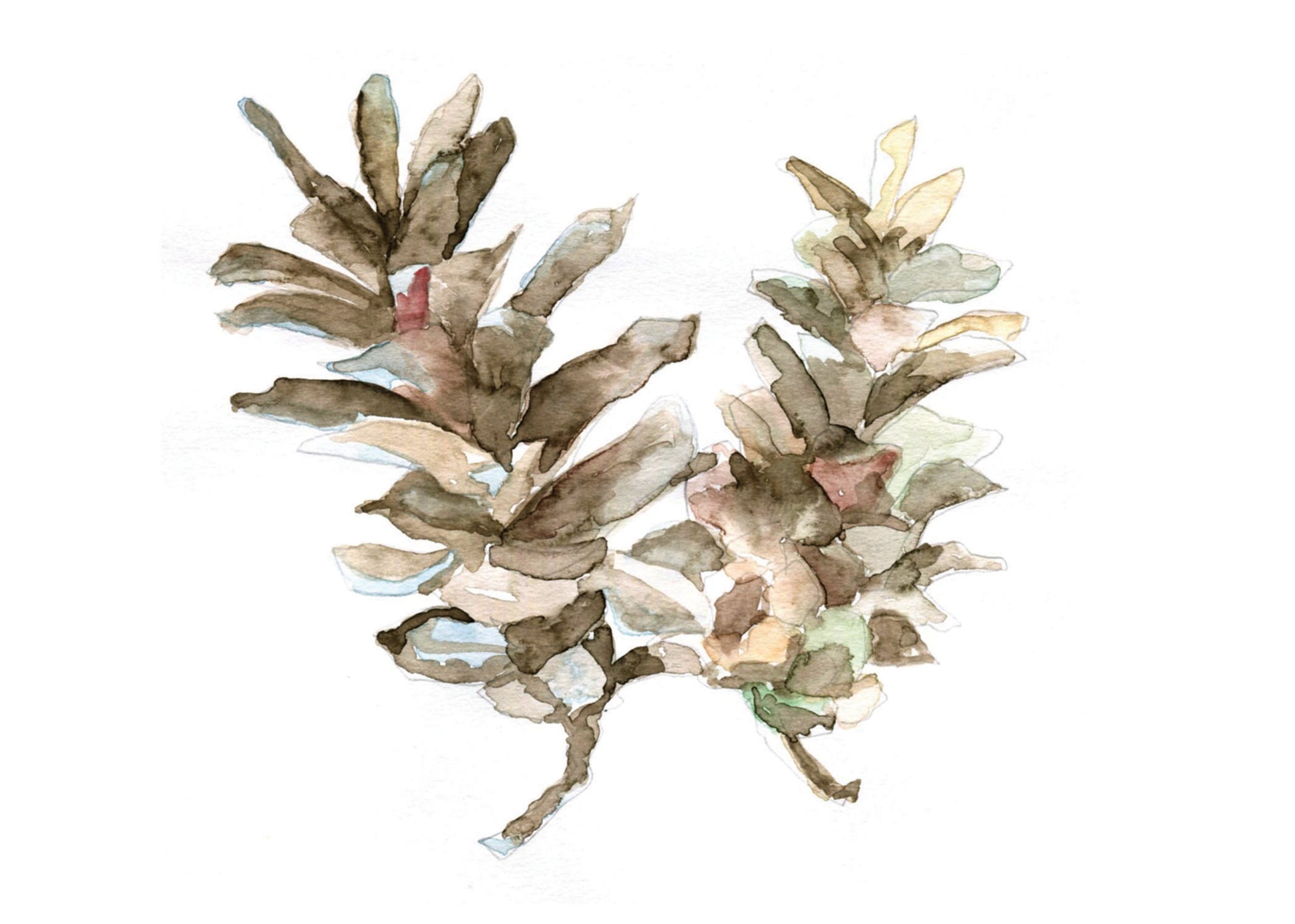 Pine Cone Watercolor Print Art - Flamingo Shores - Original Art for Home Decor and Gifts