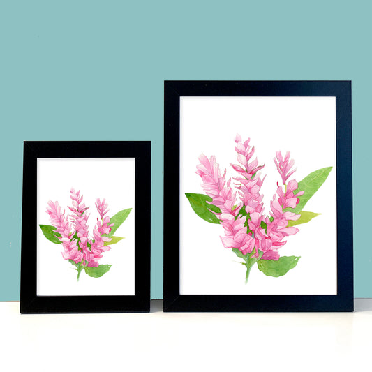 Hawaiian Pink Ginger Flower Painting. Tropical Beach Home Decor. Nature Art. - Flamingo Shores - Original Art for Home Decor and Gifts