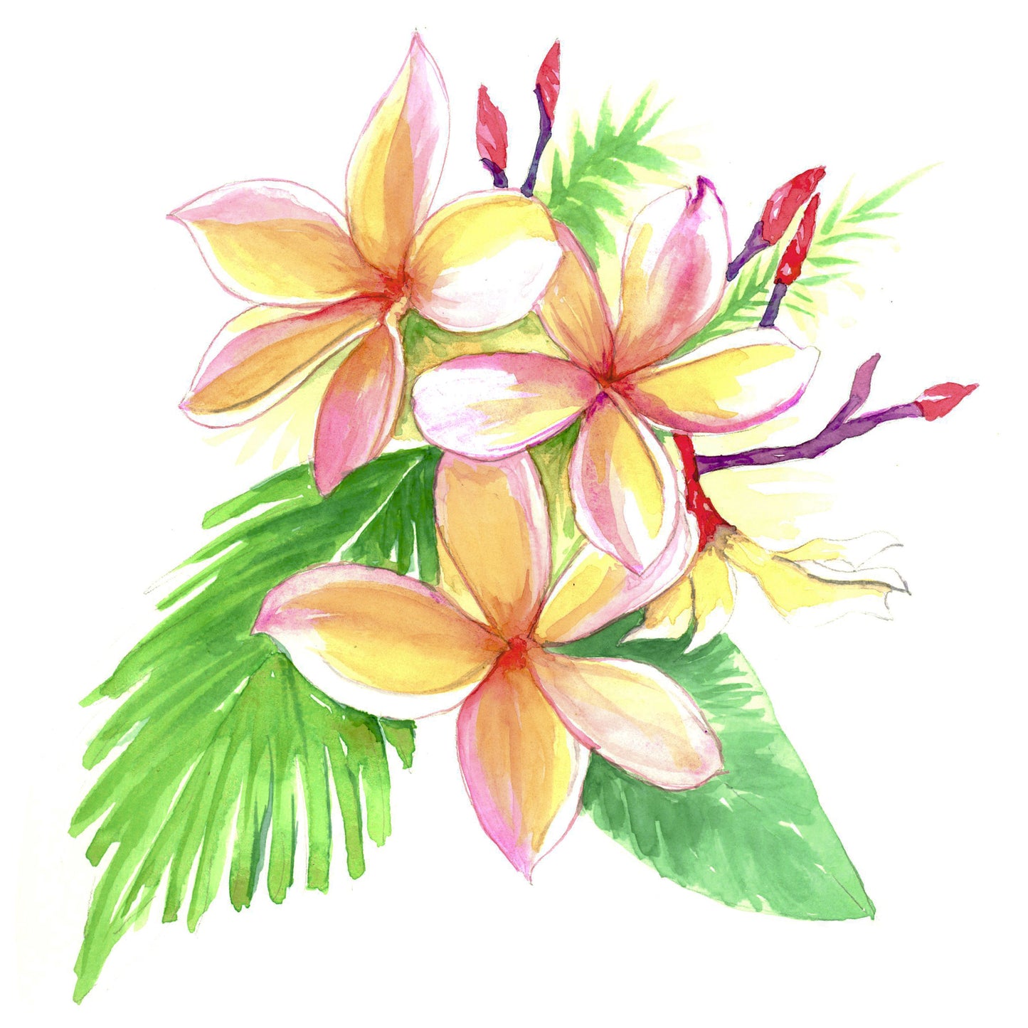 Plumeria Tropical Flower Watercolor Print on Wood Block - Flamingo Shores - Original Art for Home Decor and Gifts