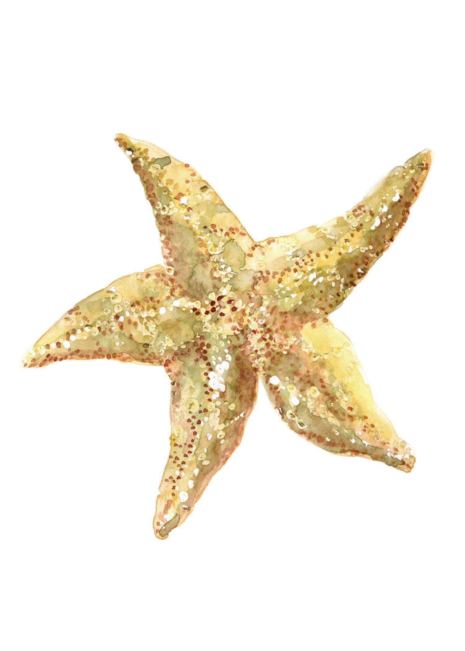 Starfish Watercolor Art Prints - Flamingo Shores - Original Art for Home Decor and Gifts