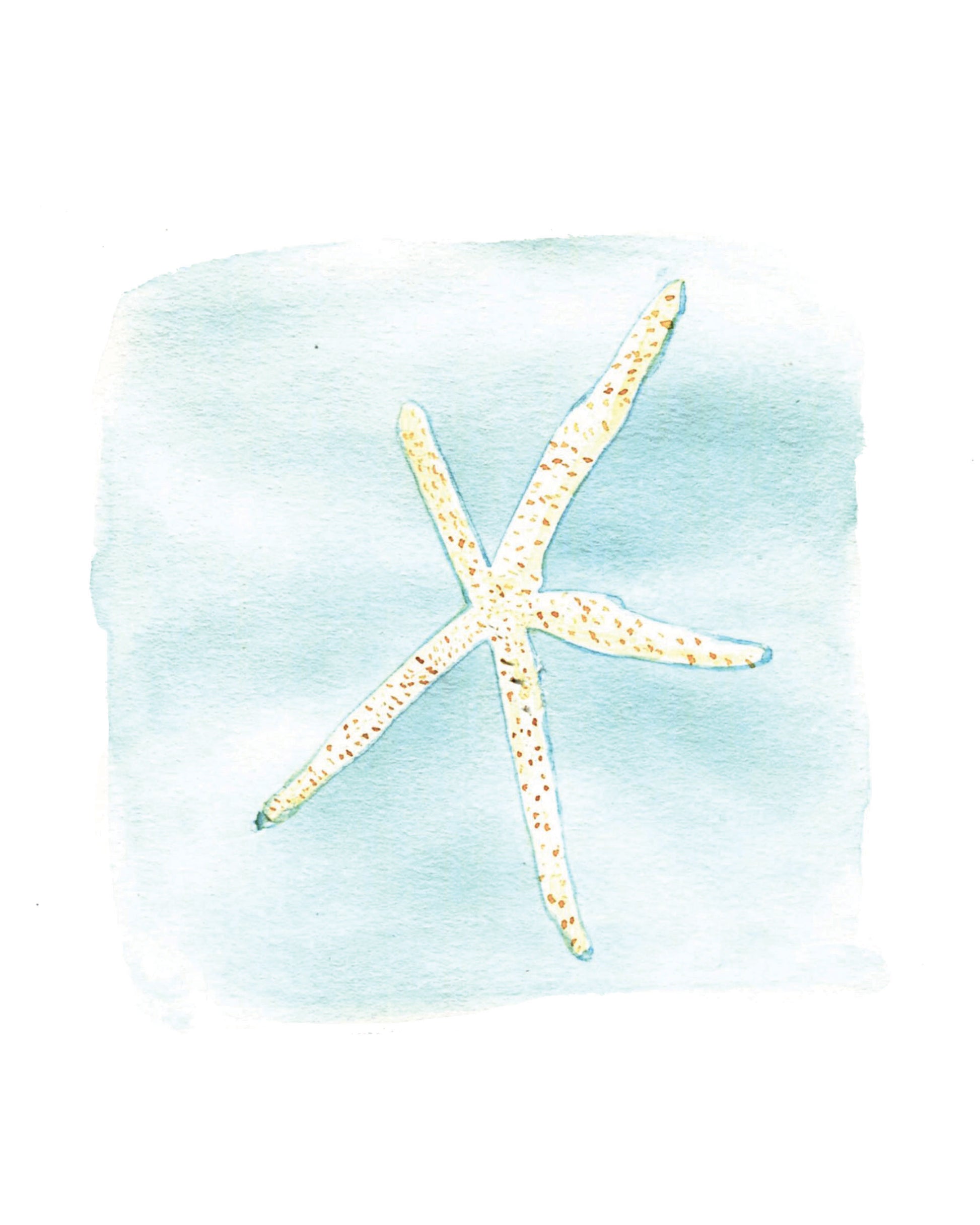Brittle star Starfish original painting wall art print - Flamingo Shores - Original Art for Home Decor and Gifts