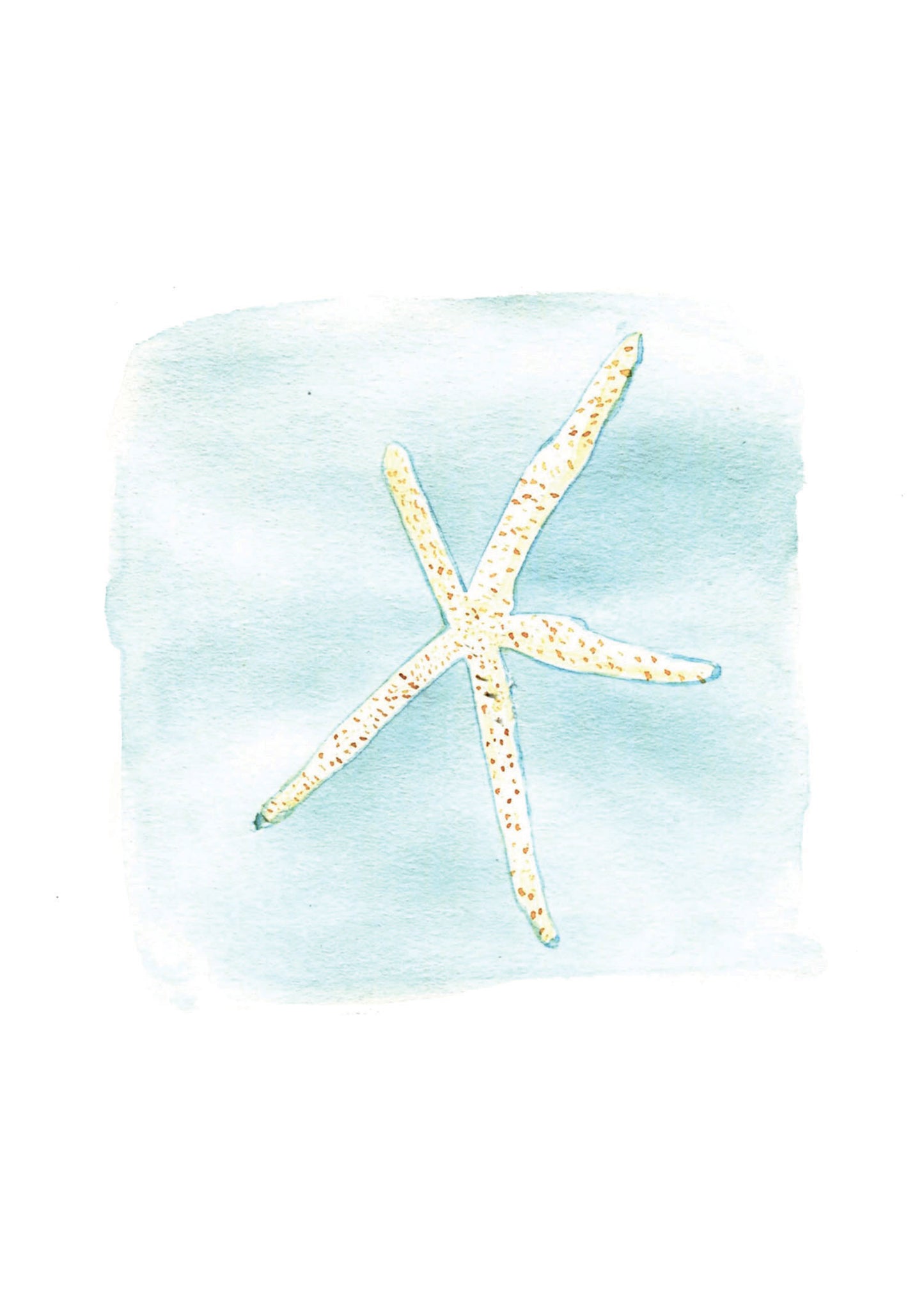 Brittle Star Starfish Watercolor Art on Wood Block - Flamingo Shores - Original Art for Home Decor and Gifts