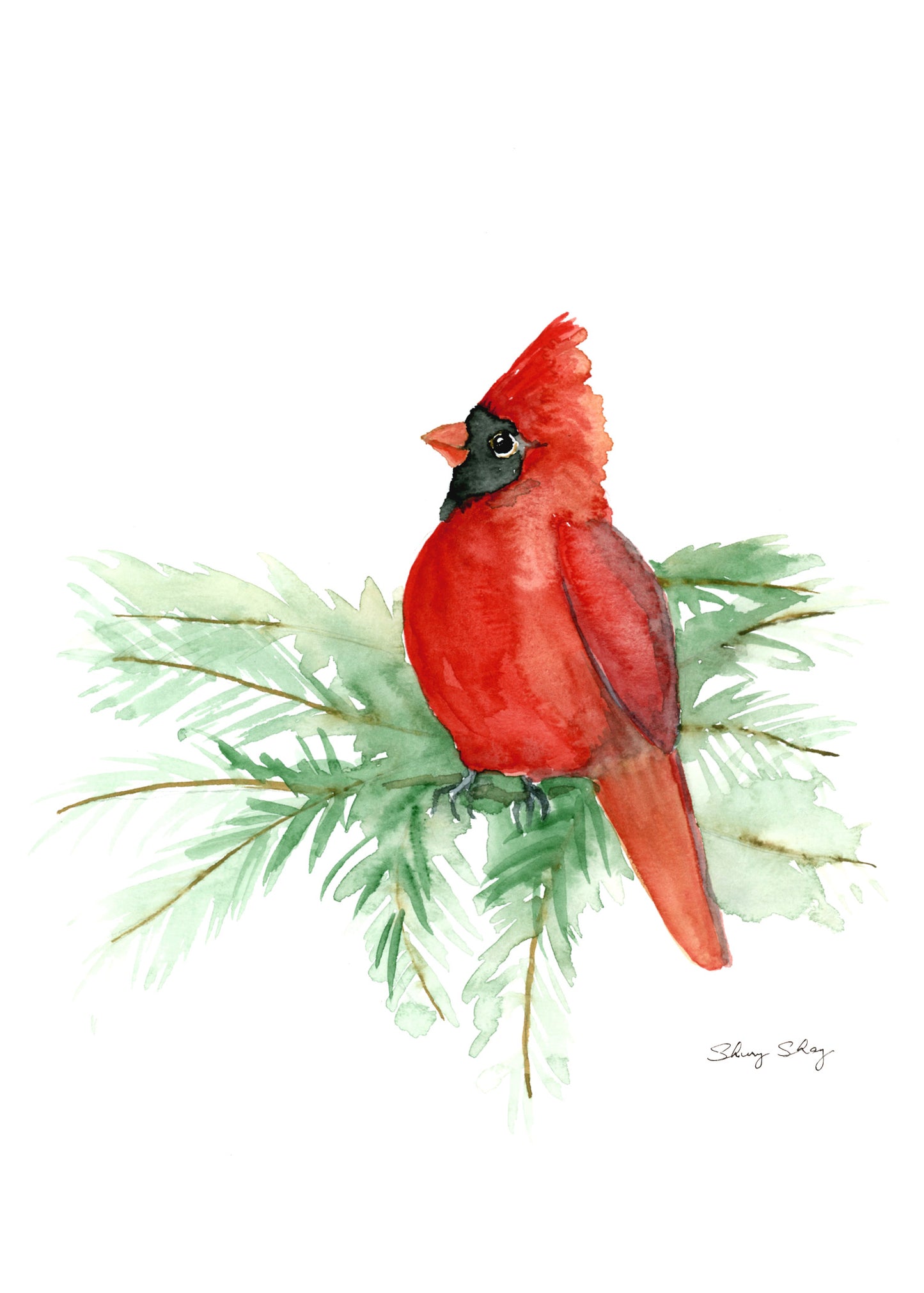 Red Cardinal Original Painting Wall Art Print - Flamingo Shores - Original Art for Home Decor and Gifts