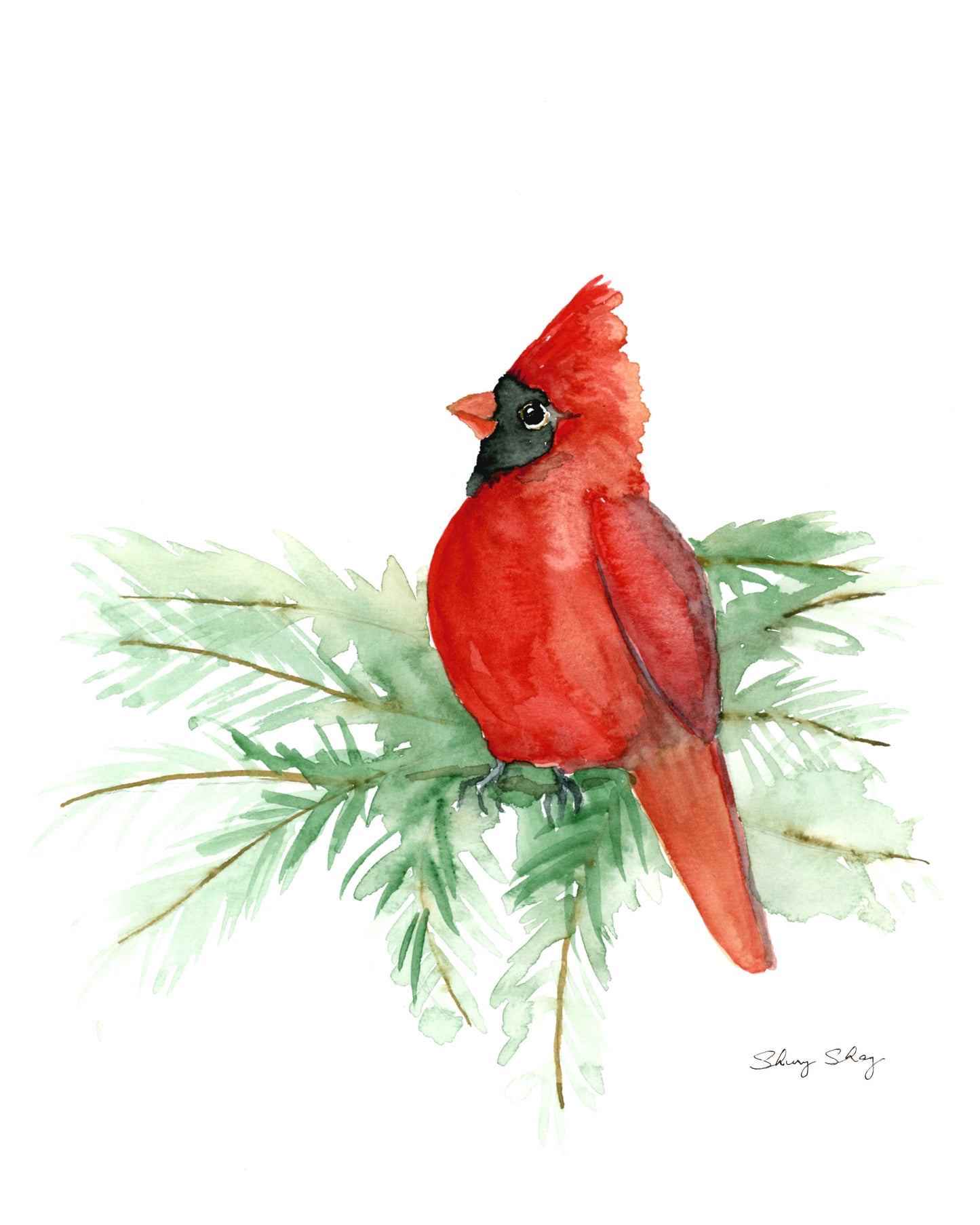 Cardinal - Red Bird - Watercolor on Wood Panel - Flamingo Shores - Original Art for Home Decor and Gifts