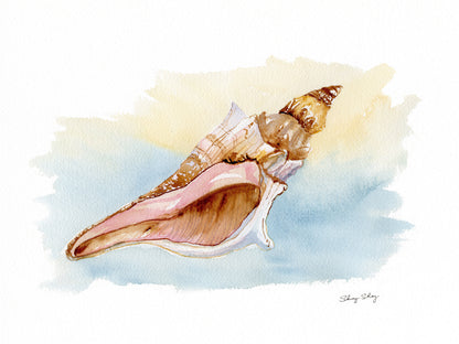 Conch Shell Watercolor Print - Kings Crown Conch