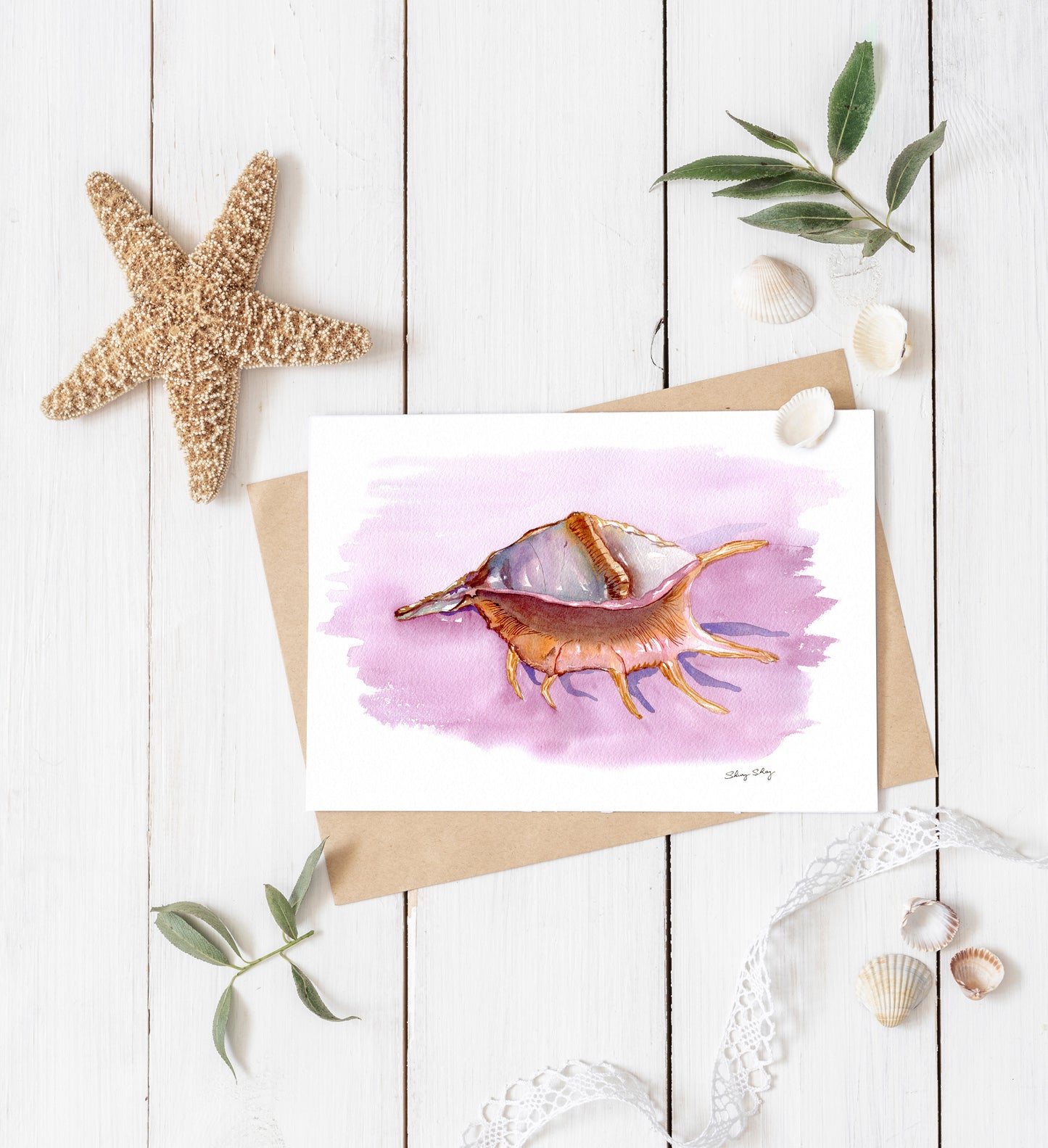 Conch Shell Watercolor Print - Spider Conch