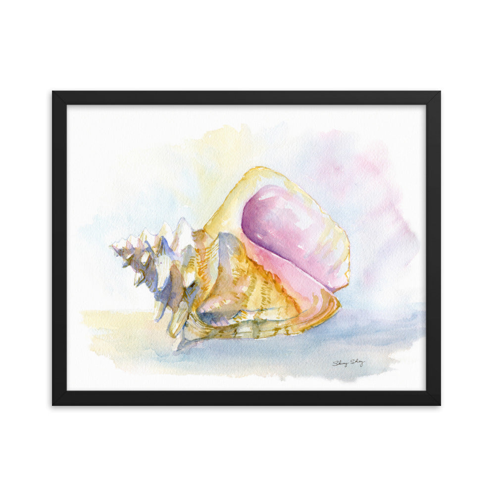 Conch Shell Framed Watercolor Print - Queen Conch