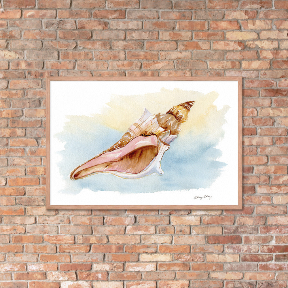 Conch Shell Watercolor Print - Kings Crown Conch