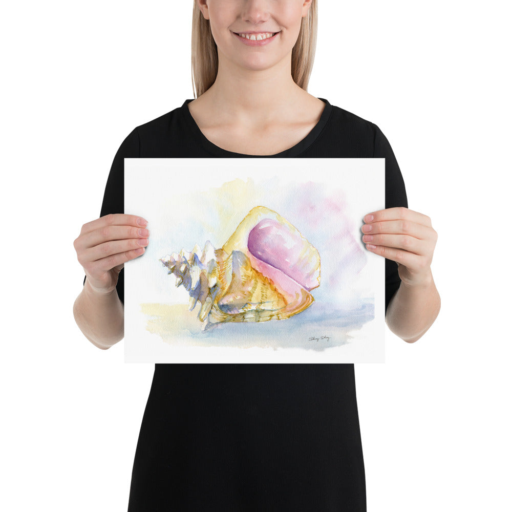 Conch Shell Print - Watercolor Painting