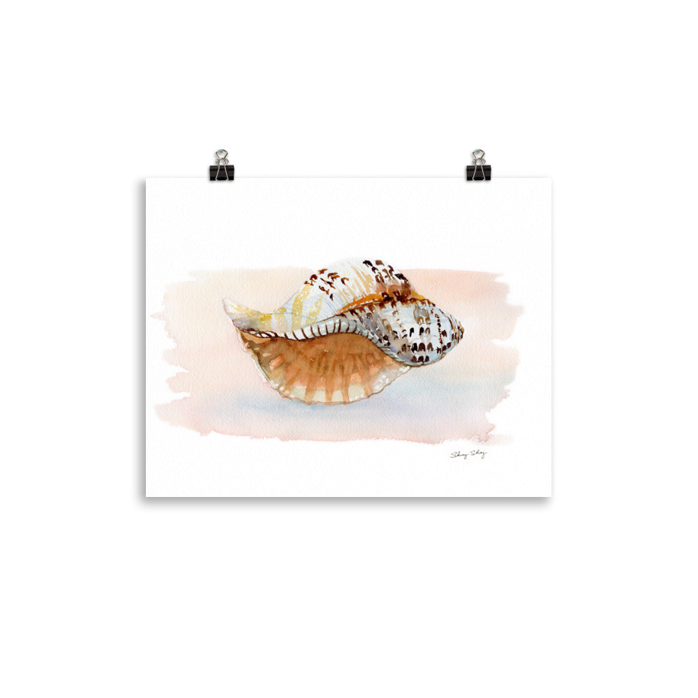 Seashell Wall Art, Triton conch Shell Watercolor Painting