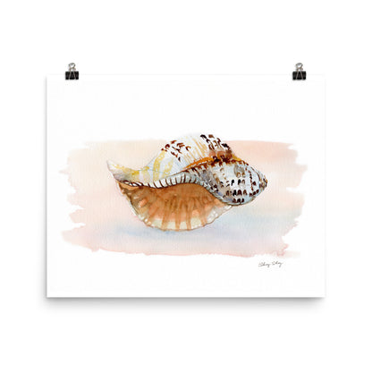 Seashell Wall Art, Triton conch Shell Watercolor Painting