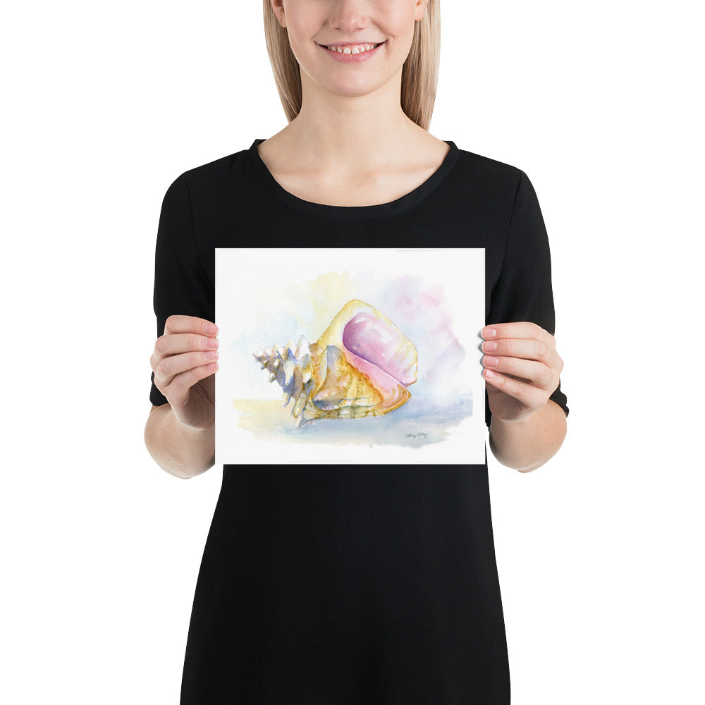 Conch Shell Print - Watercolor Painting