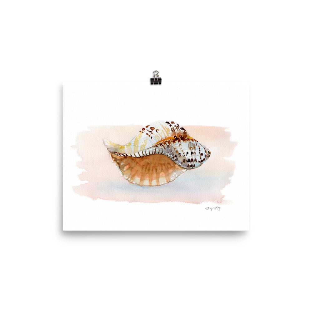 Seashell Wall Art, Triton conch Shell Watercolor Painting