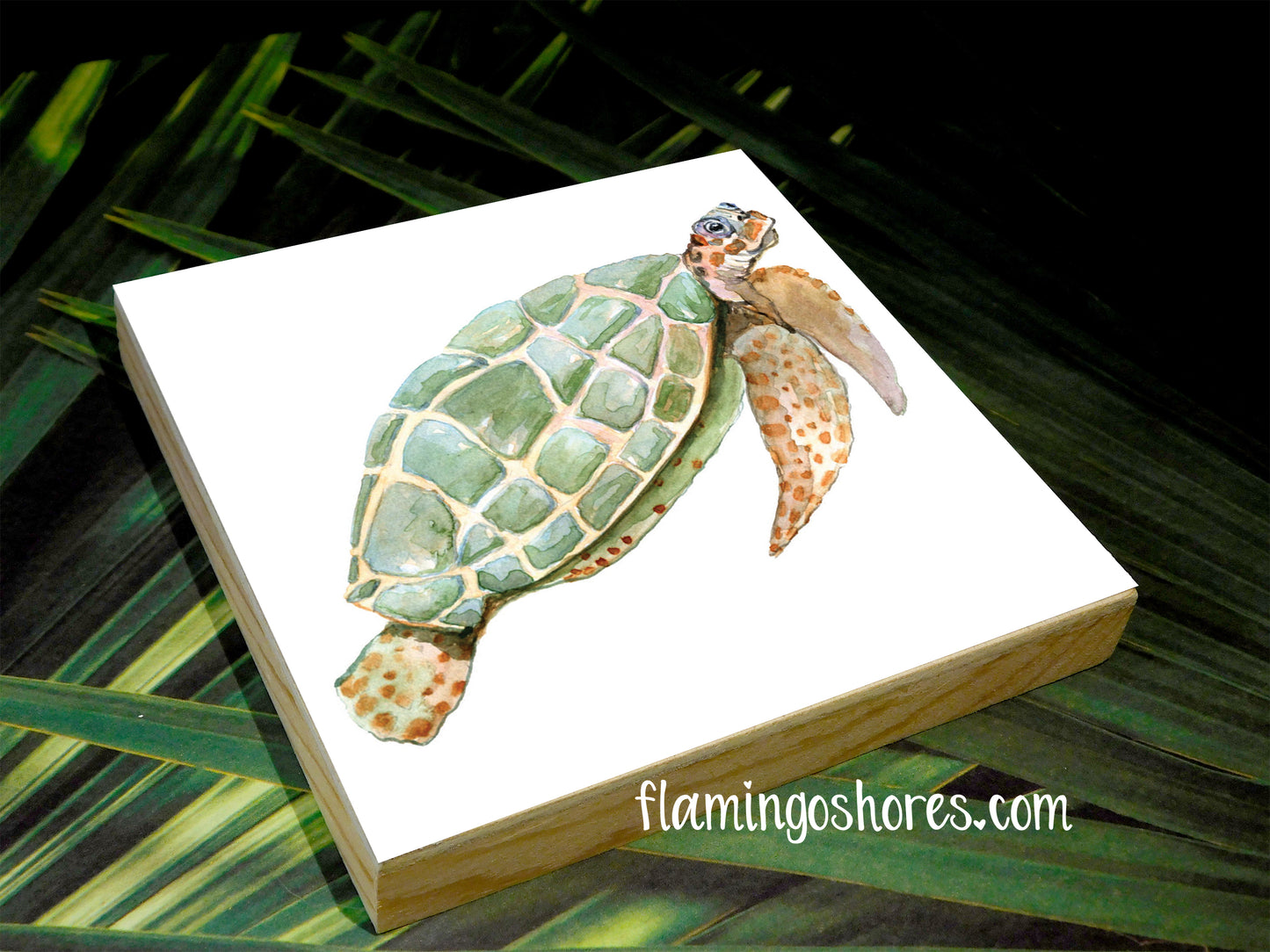 Green Turtle Watercolor Print on Wood Block - Flamingo Shores - Original Art for Home Decor and Gifts