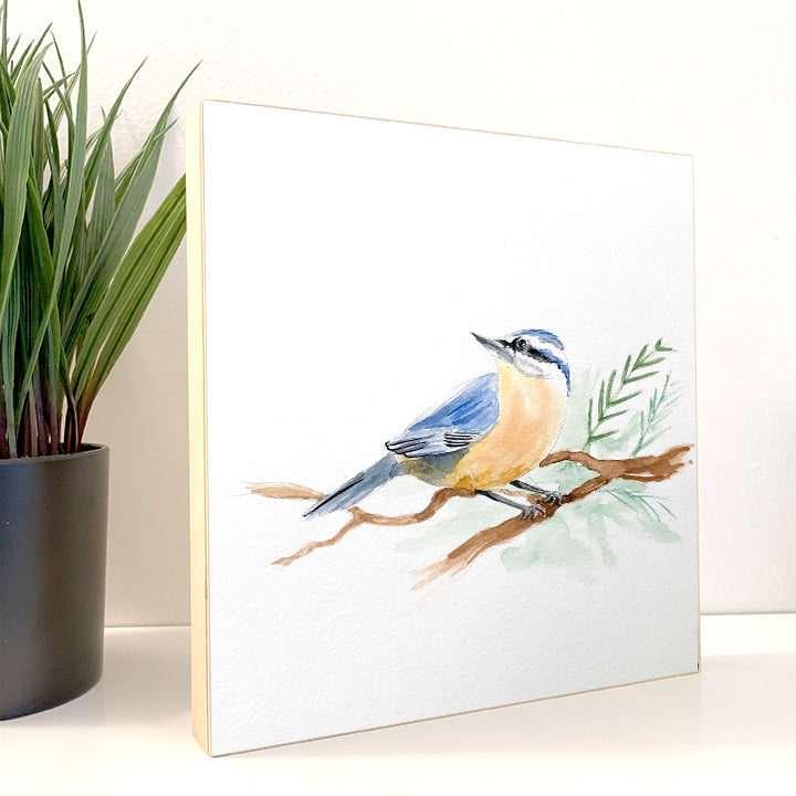 Nuthatch Original Painting Watercolor Art Print - Flamingo Shores - Original Art for Home Decor and Gifts