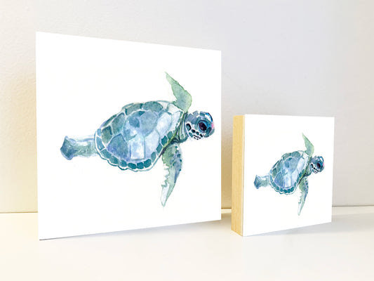 Blue Sea Turtle Watercolor Print on Wood Block - Flamingo Shores - Original Art for Home Decor and Gifts