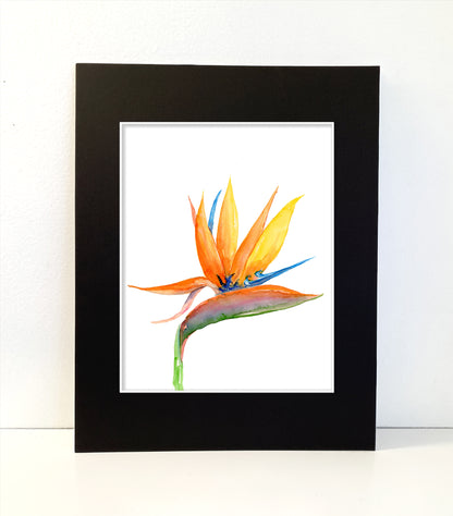 Tropical Flower Bird of Paradise Watercolor Wall Art. Home Decor. Nature Art. Bird Lover Gift. - Flamingo Shores - Original Art for Home Decor and Gifts