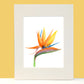 Tropical Flower Bird of Paradise Watercolor Wall Art. Home Decor. Nature Art. Bird Lover Gift. - Flamingo Shores - Original Art for Home Decor and Gifts