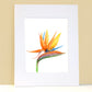 Tropical Flower Bird of Paradise Watercolor Wall Art. Home Decor. Nature Art. Bird Lover Gift. - Flamingo Shores - Original Art for Home Decor and Gifts