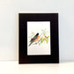 Robin Original Watercolor Painting as a 5x7 or 8x10 Print - Flamingo Shores - Original Art for Home Decor and Gifts