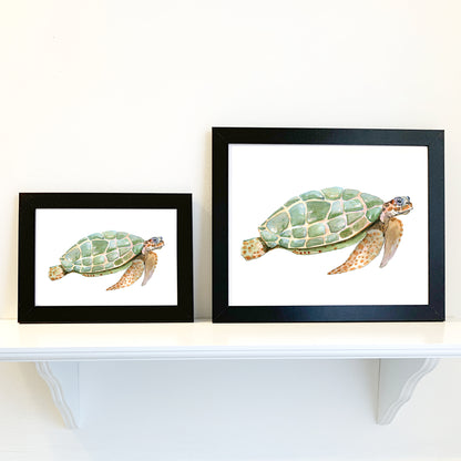 Green Turtle Watercolor Print Art - Flamingo Shores - Original Art for Home Decor and Gifts