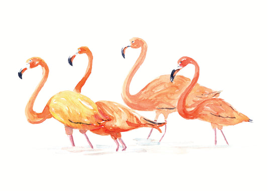 Flamingos WHITE FRAME - Flamingo Shores - Original Art for Home Decor and Gifts