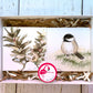 Gift Set Bluebird & Sparrow Wall Art - Flamingo Shores - Original Art for Home Decor and Gifts