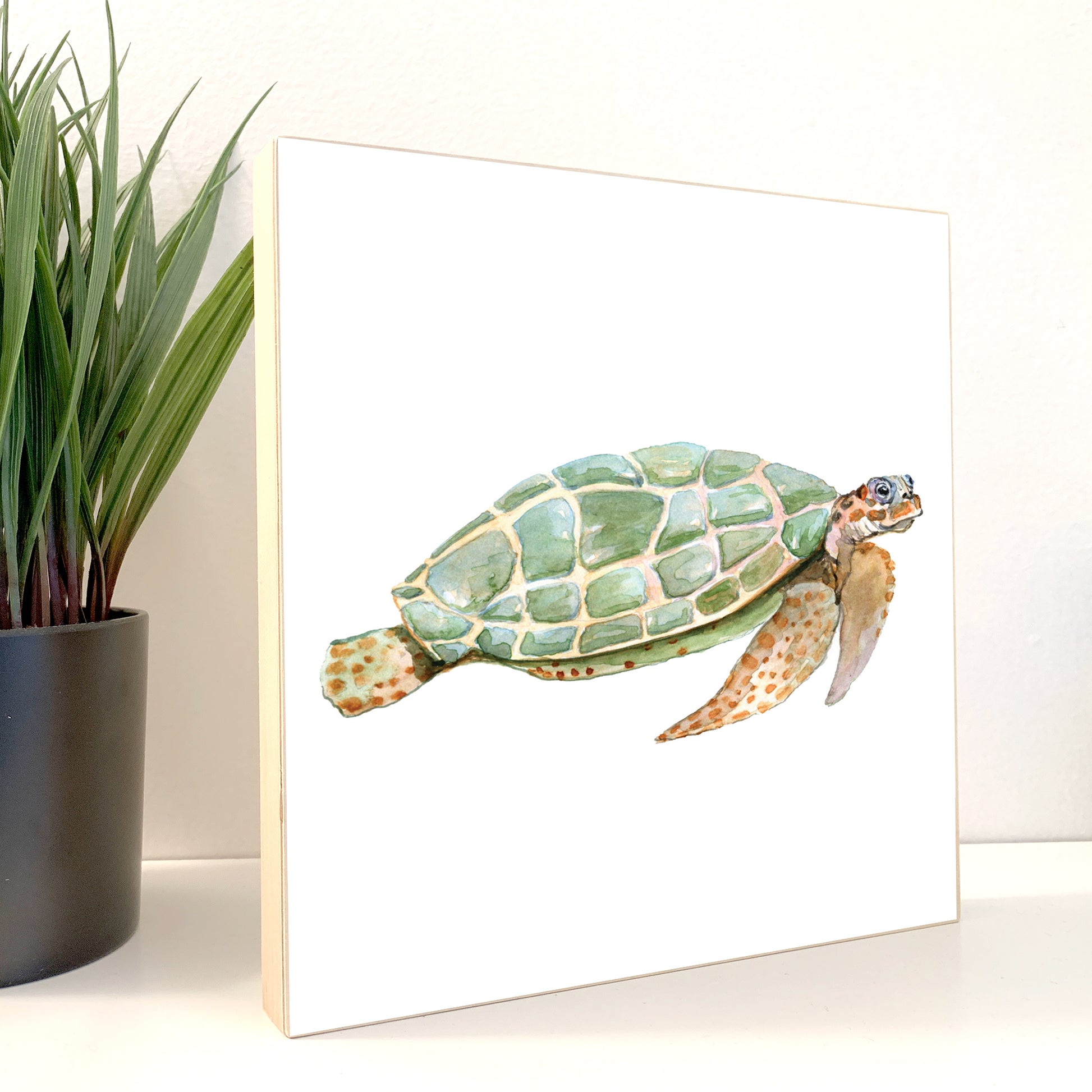 Green Turtle Watercolor Print on Wood Block - Flamingo Shores - Original Art for Home Decor and Gifts