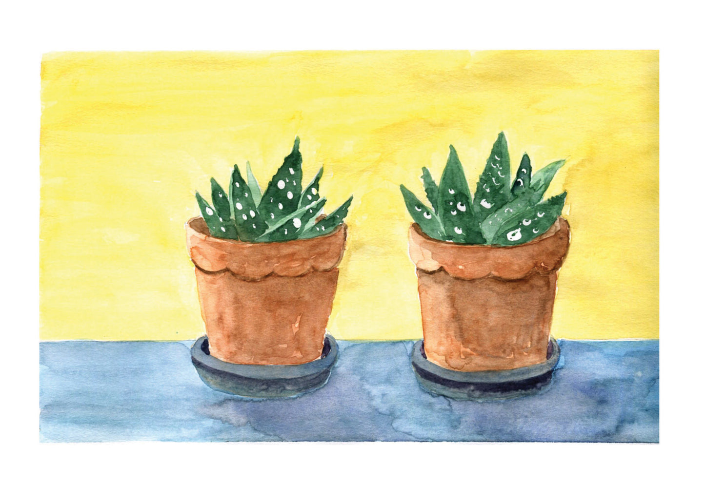 Succulent Houseplants Watercolor Print Art - Flamingo Shores - Original Art for Home Decor and Gifts