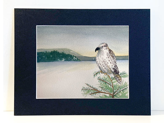 Hawk in winter - Flamingo Shores - Original Art for Home Decor and Gifts