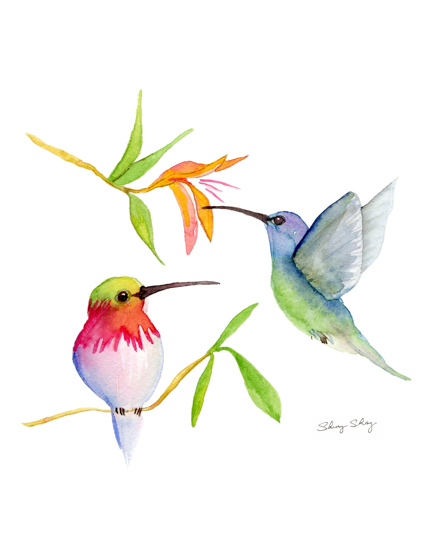 Hummingbirds - Watercolor on Wood Panel - Flamingo Shores - Original Art for Home Decor and Gifts