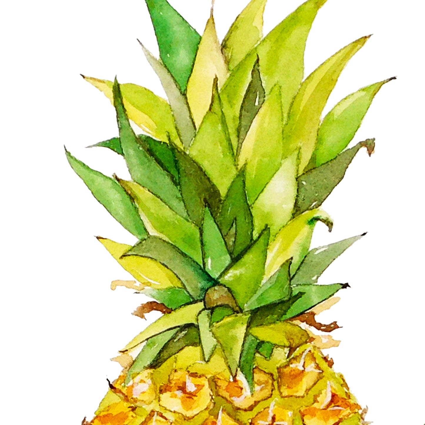 Pineapple Watercolor Print Art - Flamingo Shores - Original Art for Home Decor and Gifts