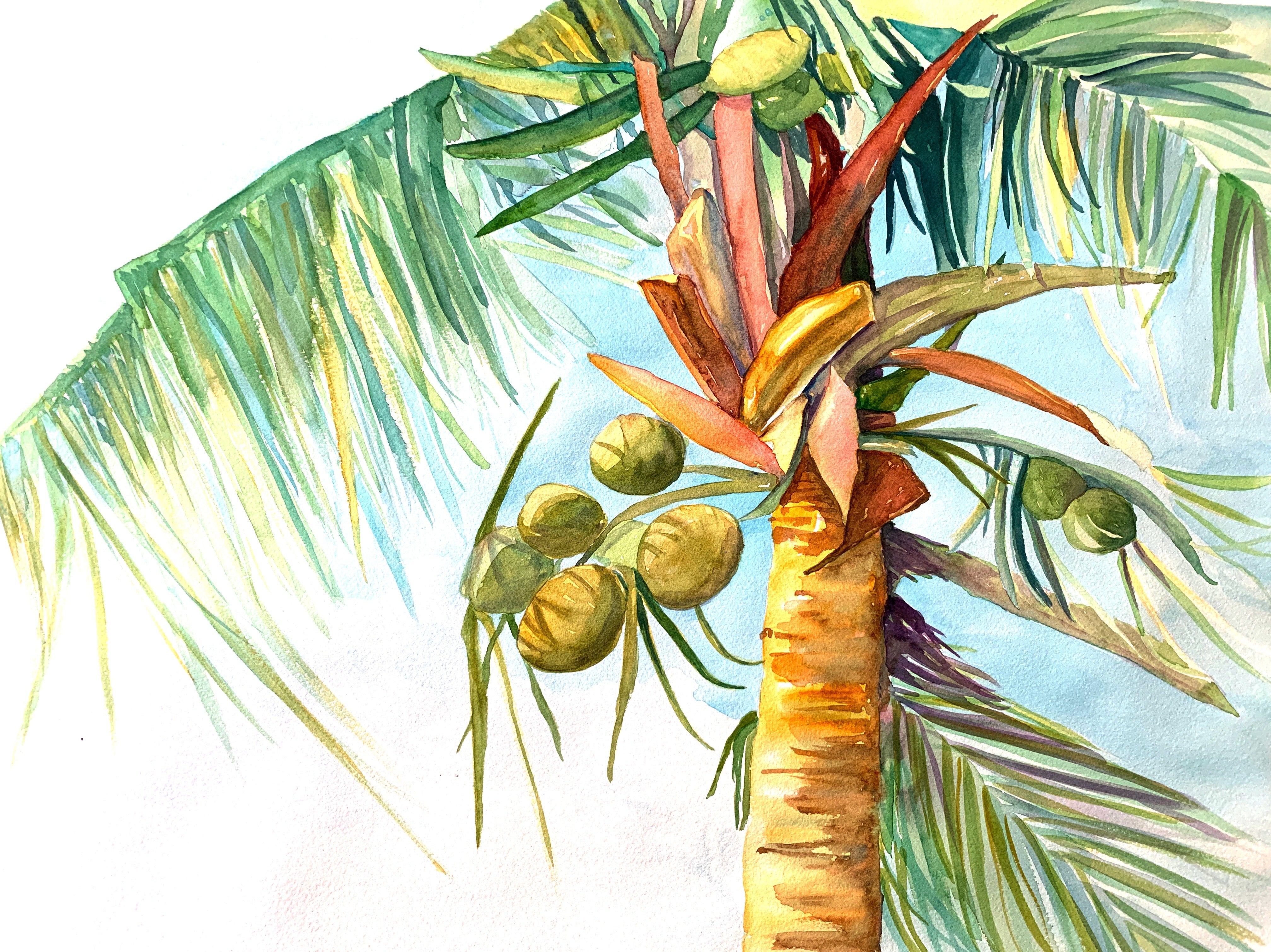 Tropical Palm Tree (30x22)
