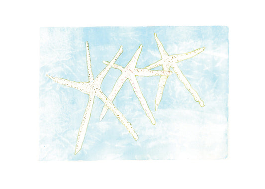 Starfish Group WHITE FRAME - Flamingo Shores - Original Art for Home Decor and Gifts