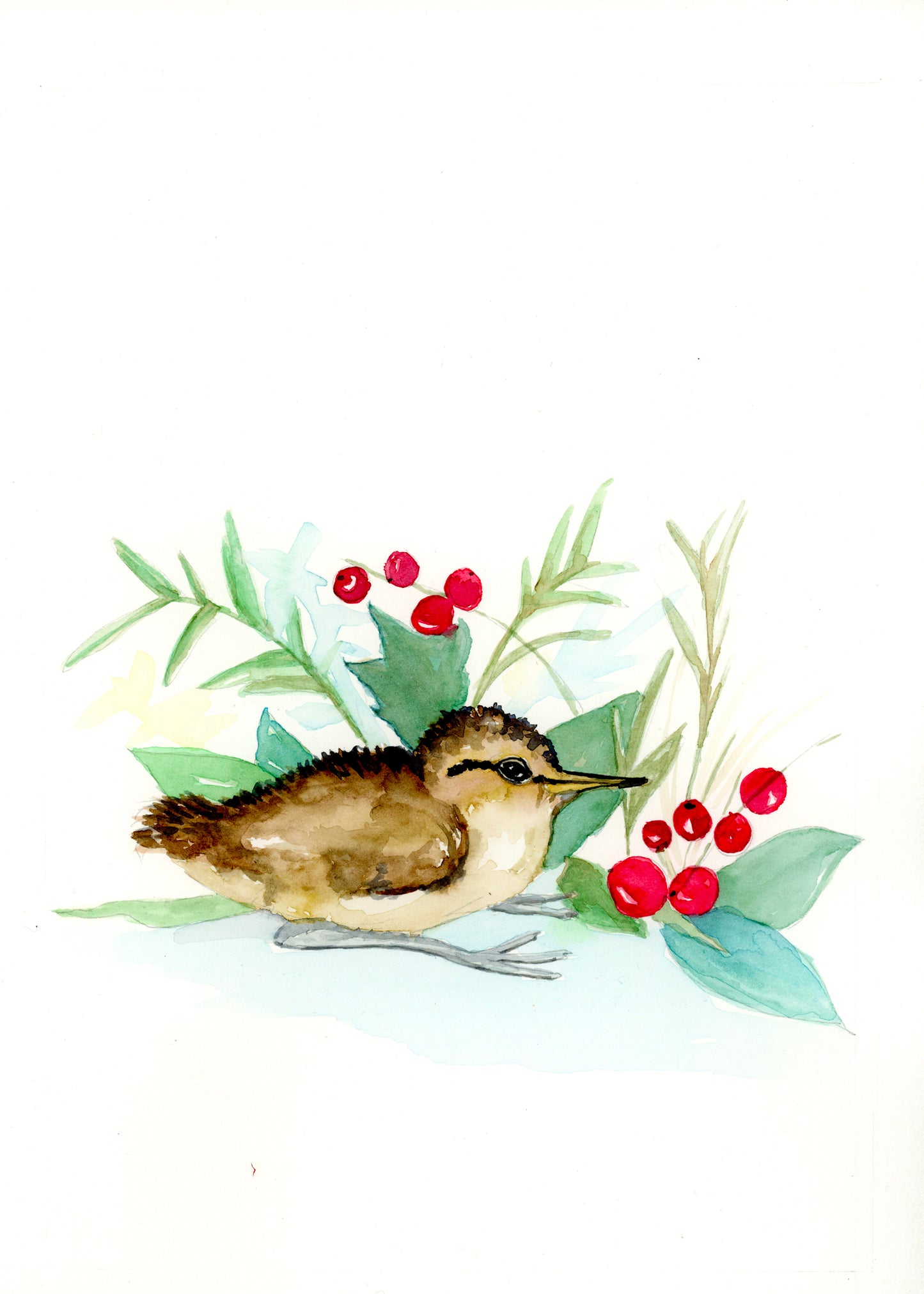 Sandpiper bird WHITE FRAME - Flamingo Shores - Original Art for Home Decor and Gifts
