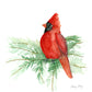 Red Cardinal Original Painting Wall Art Print - Flamingo Shores - Original Art for Home Decor and Gifts
