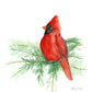 Cardinal - Red Bird - Watercolor on Wood Panel - Flamingo Shores - Original Art for Home Decor and Gifts