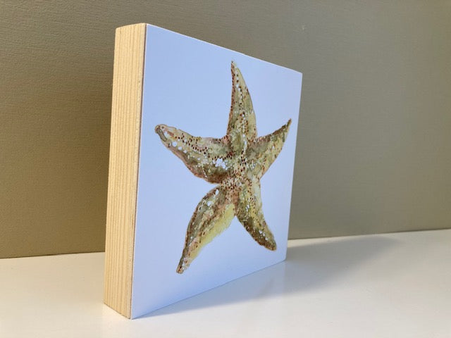 Starfish Watercolor Art on Wood Block - Flamingo Shores - Original Art for Home Decor and Gifts